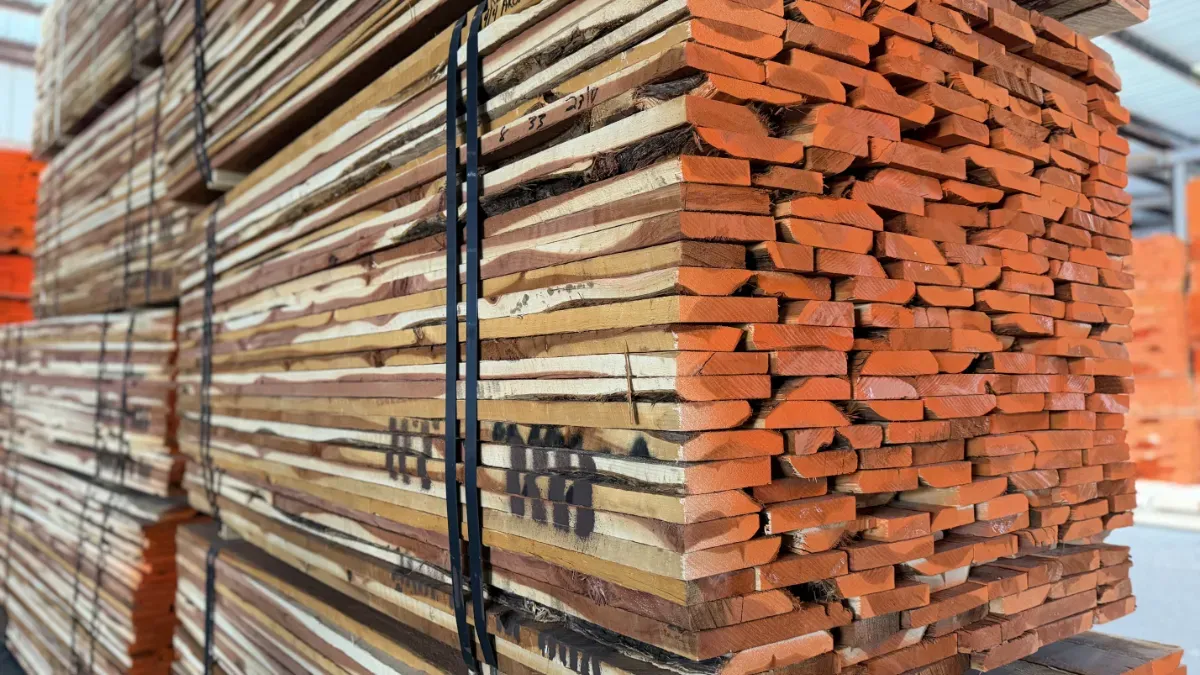 Load of Aromatic Red Ceader rips.