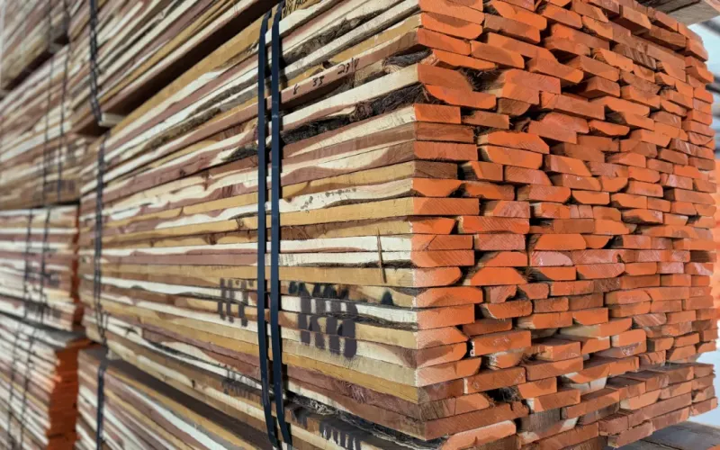 Load of Aromatic Red Ceader rips.